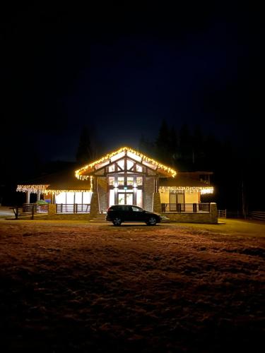 a car parked in front of a building with lights at Chalet Deluț in Suceava