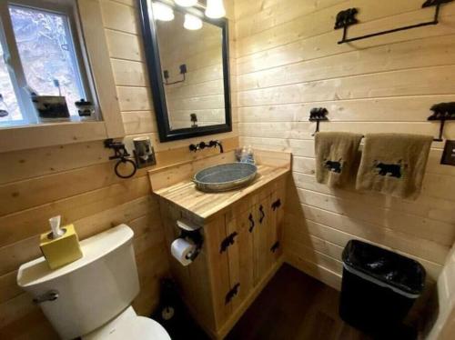 a bathroom with a toilet and a sink and a mirror at Couple Retreat Cabin-near Smoky Mountain Railroad-Hot Tub in Bryson City