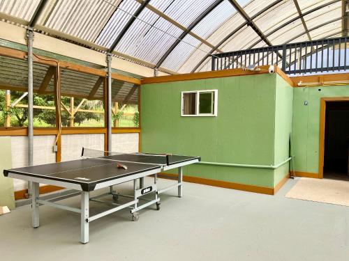 - une table de ping-pong dans une pièce dotée d'un mur vert dans l'établissement Off-Grid Getaway with Ocean Views in Paradise, à Pahoa
