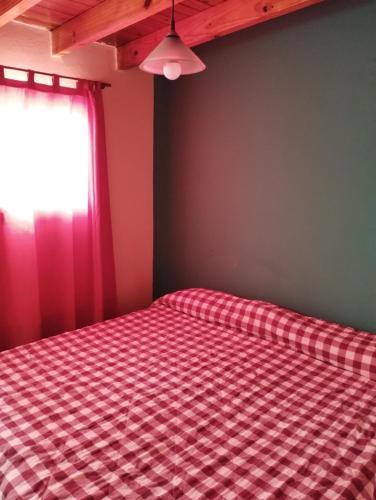 een slaapkamer met een bed met een rood geruite deken bij Departamento Mendoza in Villa Hipódromo