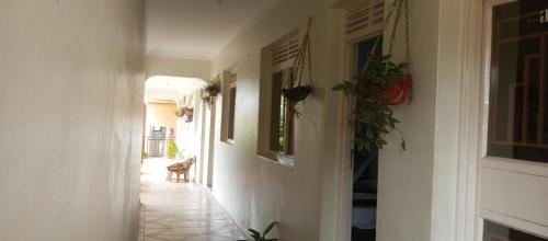 a hallway of a house with a dog sitting in the doorway at Hotel Judith Laroo in Gulu