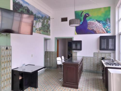 Canarios Cuernavaca – Photos 3