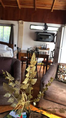 un soggiorno con 2 divani e una sala da pranzo di Casa Haydee Monteverde a Monteverde Costa Rica