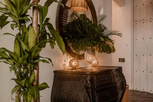 Fotografie z fotogalerie ubytování Amarla Boutique Hotel Cartagena v destinaci Cartagena