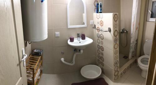 a small bathroom with a sink and a toilet at Mia apartmani - novoizgradjeni objekat in Gornji Milanovac