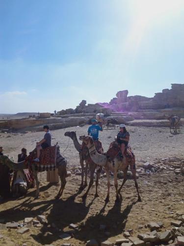 Horseback riding at a panziókat or nearby