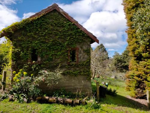 an old house covered in ivy in a field at Hideaway Farmlet Romantic Cottage with Miniature Goats in Penguin