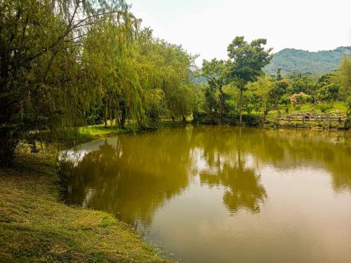 a body of water with trees on the side of it at El Cielo Biohospedaje - Refugio Sostenible en la Naturaleza in Tena
