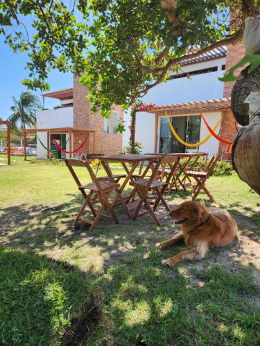 VILA DO RIO – Photos 3