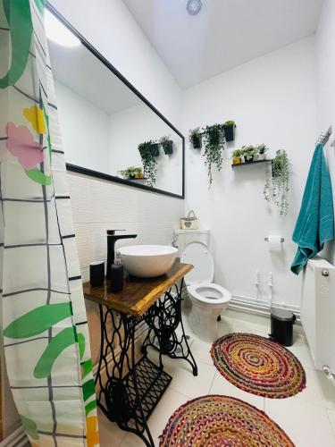 a bathroom with a sink and a toilet at Arpas Spirit in Arpaşu de Jos