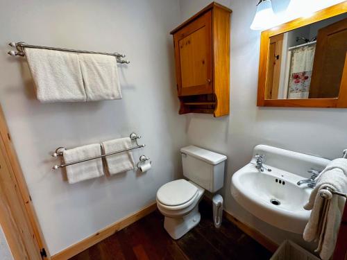 A bathroom at 11G Quintessential New Engalnd Cottage with Fantastic Views!