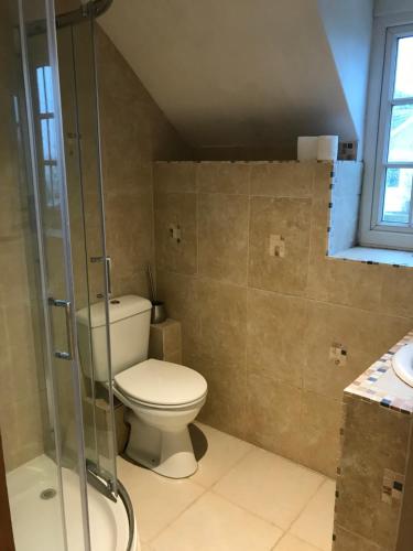 a bathroom with a toilet and a shower at Strongate View Apartment - cosy stylish rural Jurassic coast & Bridport nearby in Netherbury