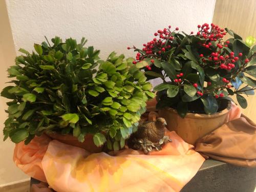 Φωτογραφία από το άλμπουμ του Ferienhaus Sophia & Ilse σε Murau