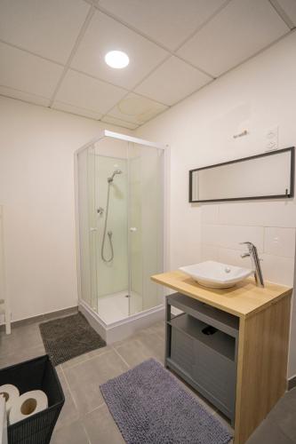 une salle de bain avec douche et lavabo dans l'établissement Maison centre ville 50m2 - Jardin - L'atlas Zen, à Challans