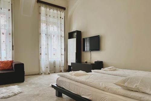a bedroom with two beds and a flat screen tv at AradVest Studio in Arad