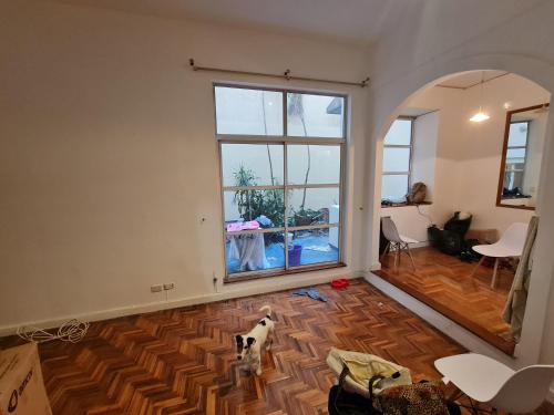 una sala de estar con un perro en el suelo y una ventana en Departamento Alto Palermo en Buenos Aires
