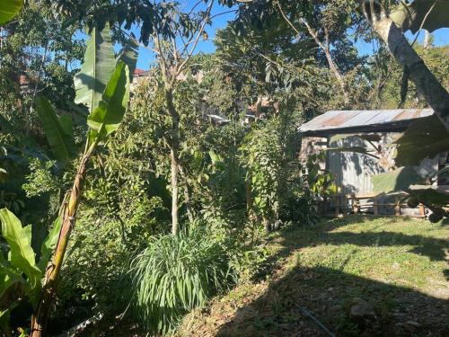 un jardin avec un bâtiment, des arbres et de la pelouse dans l'établissement Miniduplex, à Villa Rica