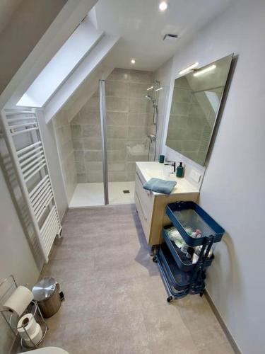 une salle de bain avec un lavabo, une douche et un miroir dans l'établissement Le Sanderling, à Trégunc