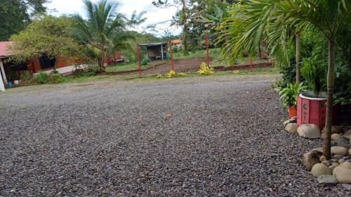 a gravel driveway with palm trees and a house at River Place in Fortuna