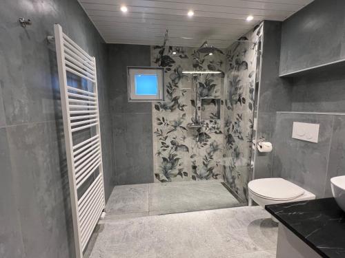 a bathroom with a shower and a toilet at La petite Silene in Leysin