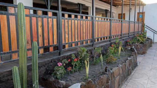 a row of plants in a garden next to a fence at Hotel La Casona del Desierto in Huasco