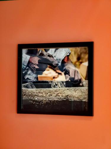 a framed picture of a dog eating cheese at La Bonita Guesthouse in Bucaramanga