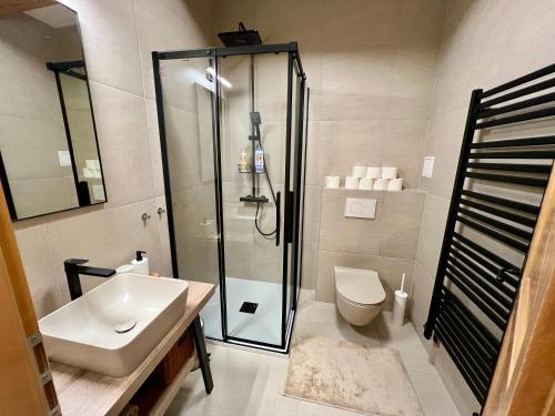 a bathroom with a shower and a sink and a toilet at Apartmán 8, Jezerné in Velké Karlovice