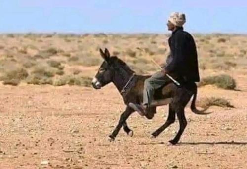 a man riding a horse in the desert at كعب غزال in Ksar Oled Cherki