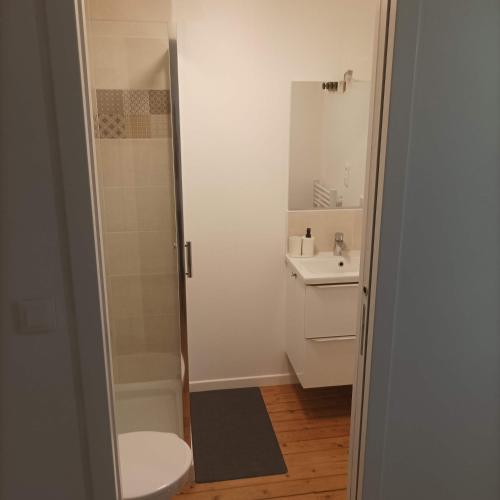 une salle de bain avec une douche, des toilettes et un lavabo dans l'établissement C'COZY - grande maison calme et lumineuse, à Sablé-sur-Sarthe