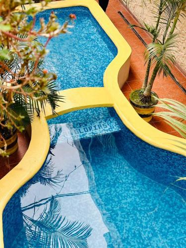 a yellow pool with trees and plants in it at Bungalows Las Glorias in Rincon de Guayabitos