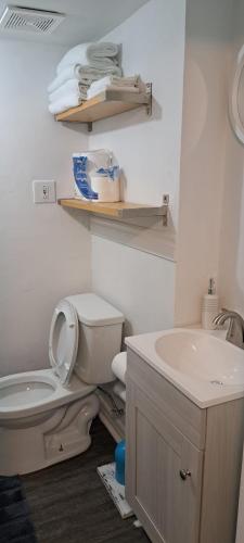 a bathroom with a toilet and a sink at Le Cent Onze in Gatineau