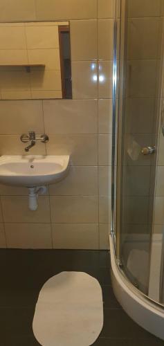 uma casa de banho com um lavatório, um chuveiro e um WC. em Mieszkanie 6 osobowe em Tomaszów Mazowiecki