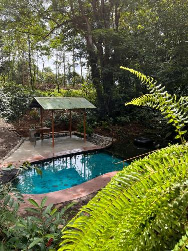 a gazebo with a picnic table in a garden at Gambas Lodge in Fortuna