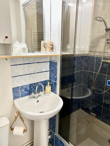une salle de bain avec un lavabo et une douche dans l'établissement La perle marine, à Trouville-sur-Mer