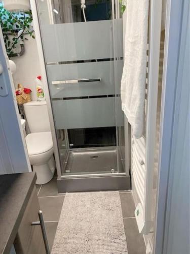 une salle de bain avec toilettes et douche en verre dans l'établissement Appartement chaleureux à Alfortville, à Alfortville