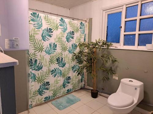a bathroom with a shower with a toilet and a plant at Casa completa para 6 personas centro Puerto Montt, 700 metros estatua enamorados in Puerto Montt