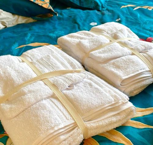 Bel appartement avec baignoire