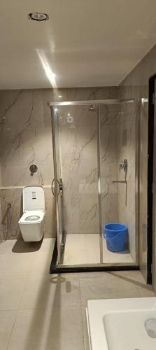 een badkamer met een douche en een toilet bij hotel bodhi inn in Gaya