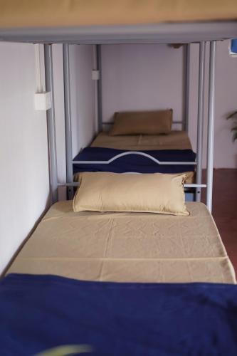 Katil atau katil-katil dalam bilik di Svabodha Hostels