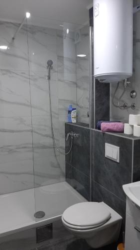 e bagno con doccia, servizi igienici e lavandino. di Apartman URBAN -1floor a Brčko