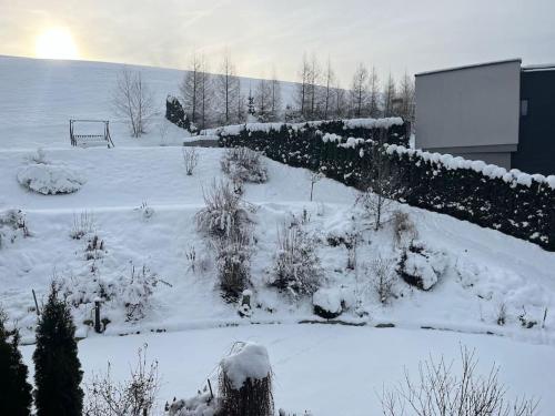 a garden covered in snow with bushes and trees at Sonnenblick in Teufenbach