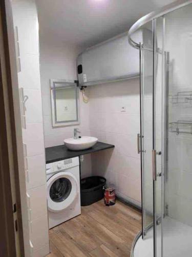 a bathroom with a washing machine and a sink at Appartement calme et chaleureux in Tours