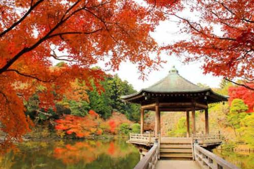 Ein Garten an der Unterkunft AYA Funabashi102 船橋駅徒歩7分 観光地へアクセス良好 空港直通 買物と飲食天国 ディズニー 長期 カップル 1人 出張 bidet seat