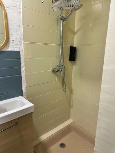 une salle de bain avec douche et lavabo dans l'établissement Studio Cosy équipé avec terrasse, à Ottmarsheim