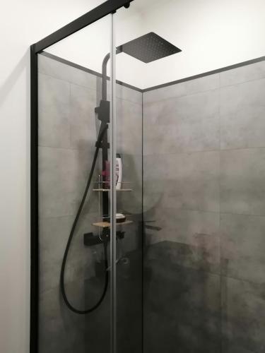 d'une douche avec une porte en verre et un pommeau de douche. dans l'établissement Charmant appartement en centre-ville, à Sète