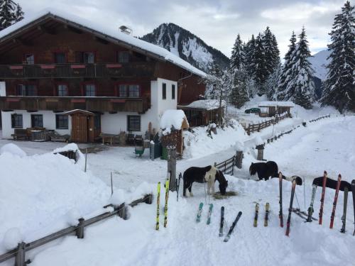 a group of horses in the snow in front of a lodge at Huberbauer Hof in Berwang