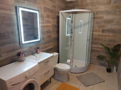 ein Bad mit einer Dusche, einem WC und einem Waschbecken in der Unterkunft Le patio de Mimi in Oisy-le-Verger