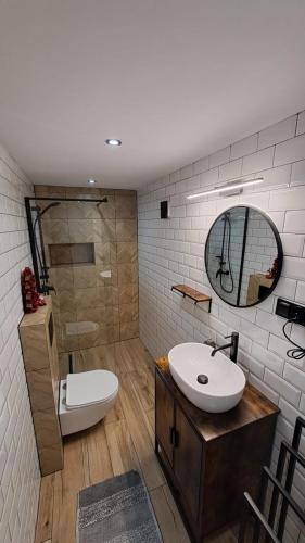 a bathroom with a sink and a toilet and a mirror at Wiejsko-Sielsko in Szczytna