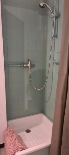 y baño con ducha y puerta de cristal. en Studio KAAN avec terrasse 5mn Basel Airport, en Saint-Louis