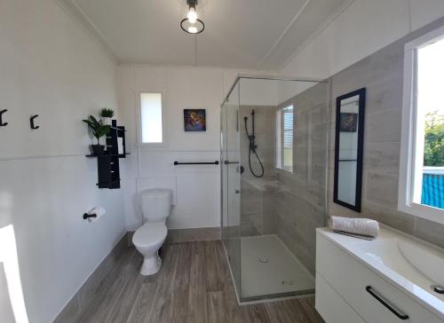 uma casa de banho com um WC, um chuveiro e um lavatório. em Entire 3 bedroom house 2000 m2 - 5 mins WALK to Torquay Beach, Hervey Bay em Hervey Bay